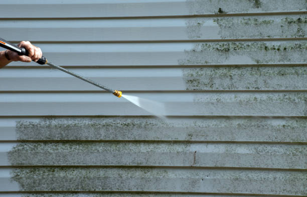 Best Residential Mold Removal  in Alma, AR