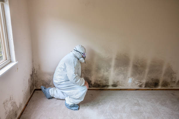 Water Damage Restoration in Alma, AR